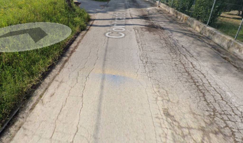 immagine annuncio 3 di 11