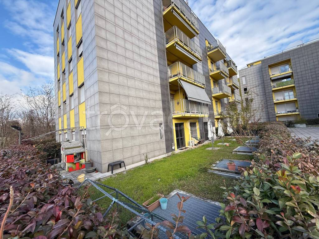 immagine annuncio 4 di 15