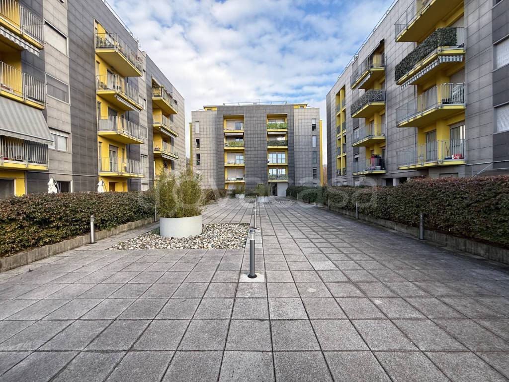 immagine annuncio 5 di 15