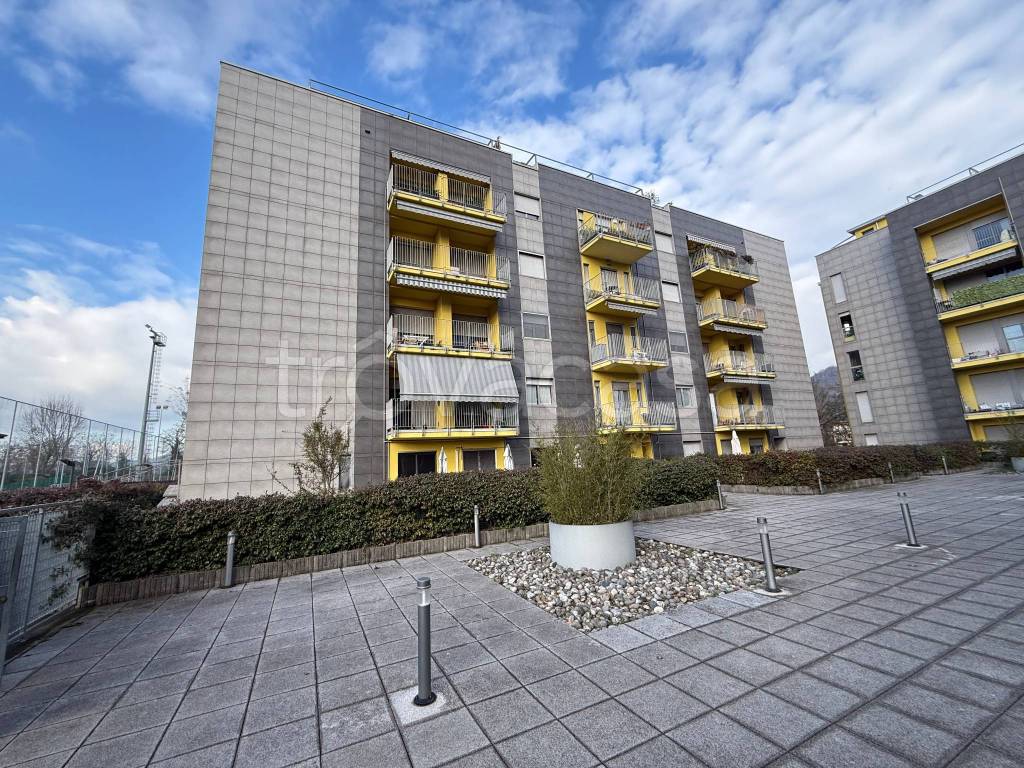 immagine annuncio 6 di 15