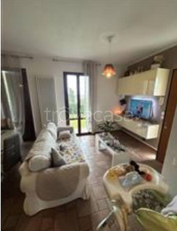 immagine annuncio 6 di 14