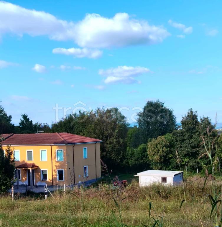 immagine annuncio 2 di 8