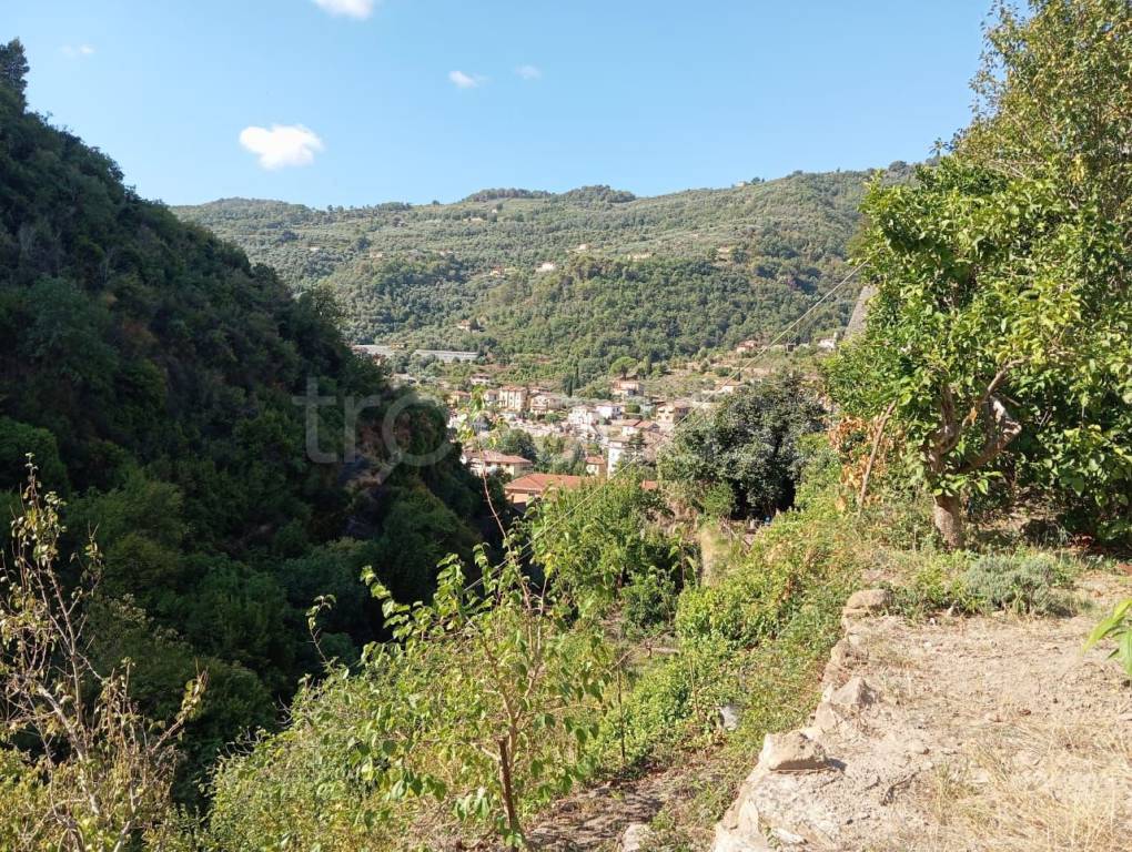 immagine annuncio 11 di 14