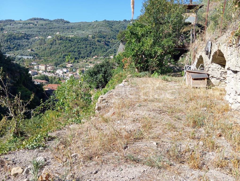 immagine annuncio 12 di 14