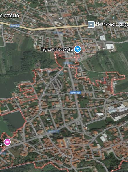 immagine annuncio 3 di 15