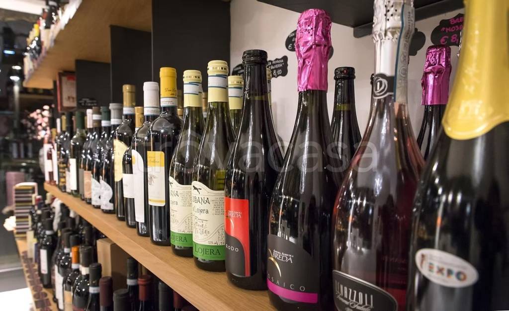 immagine annuncio 5 di 15