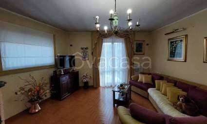 immagine annuncio 5 di 12