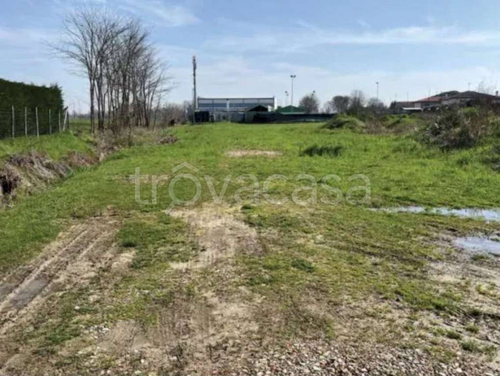 immagine annuncio 2 di 13