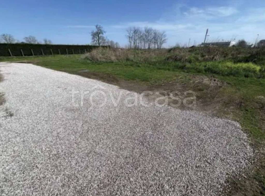 immagine annuncio 4 di 13