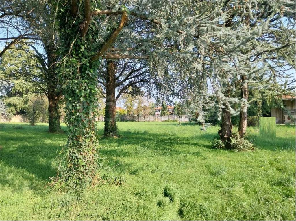 immagine annuncio 3 di 9