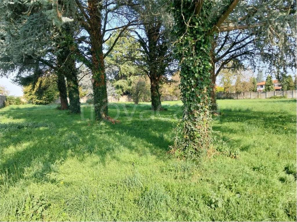 immagine annuncio 4 di 9