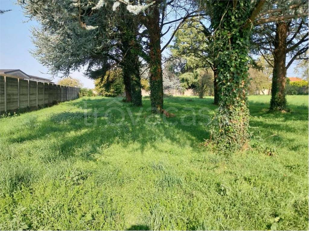 immagine annuncio 6 di 9