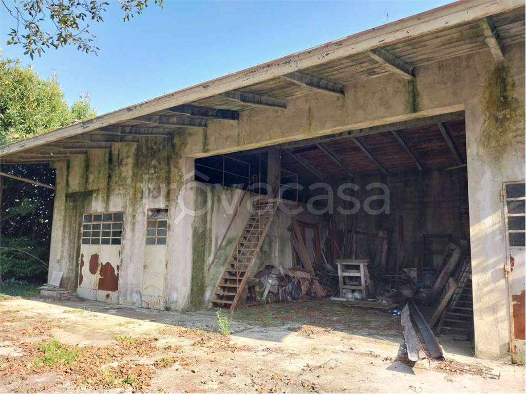 immagine annuncio 8 di 9