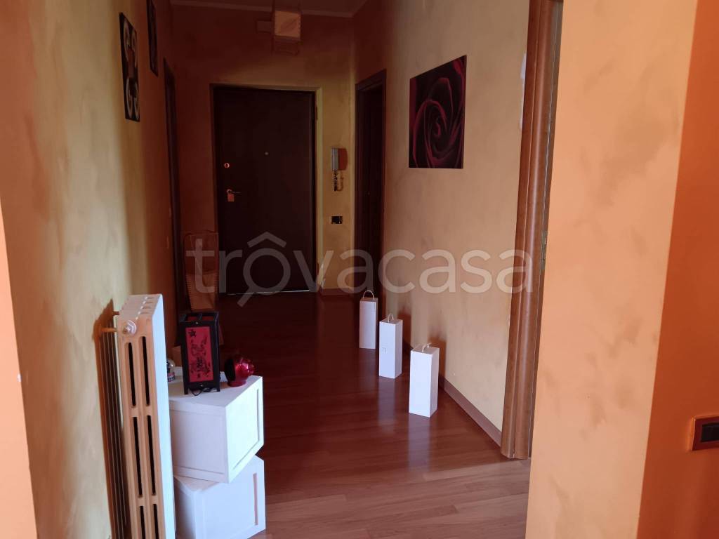 immagine annuncio 10 di 12