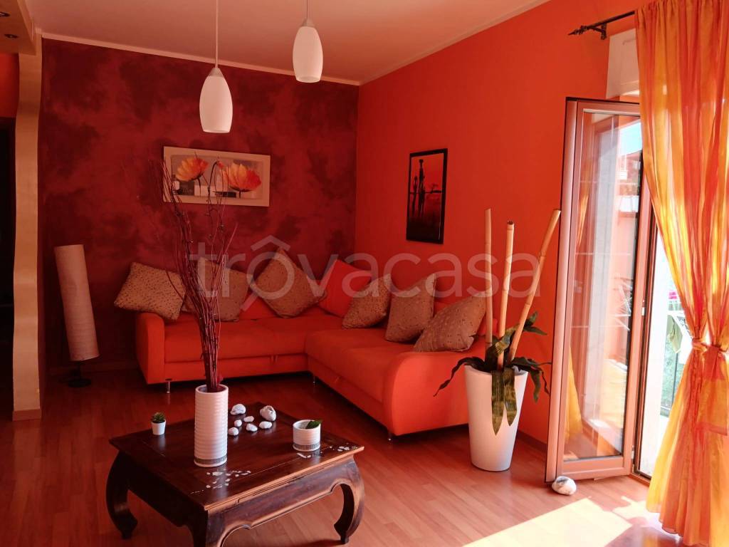 immagine annuncio 1 di 12