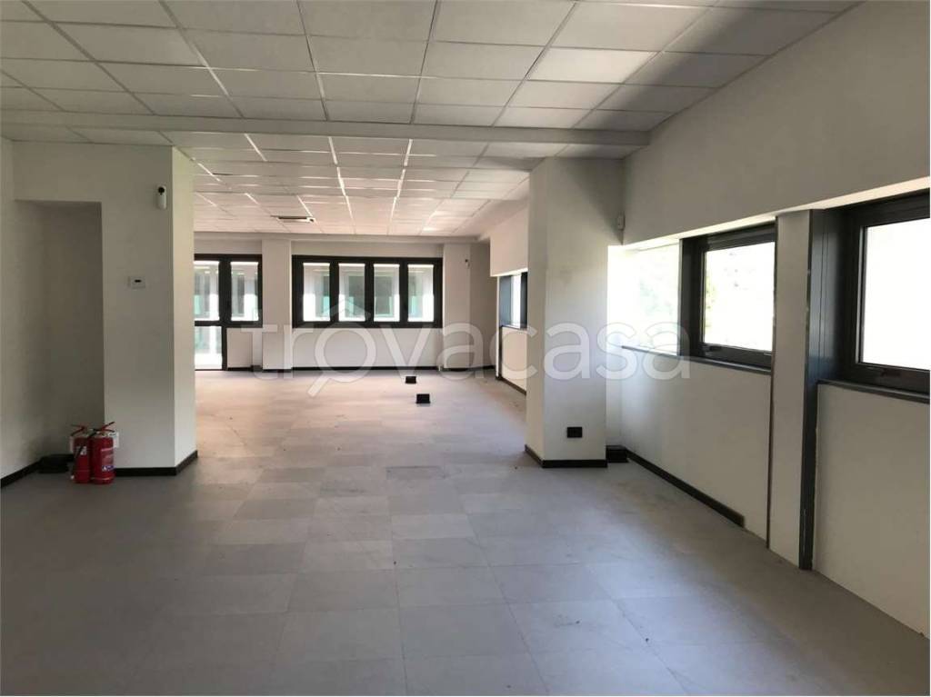 immagine annuncio 5 di 8