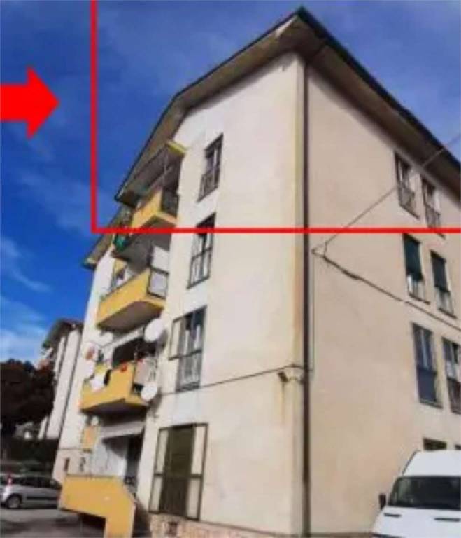 immagine annuncio 4 di 11