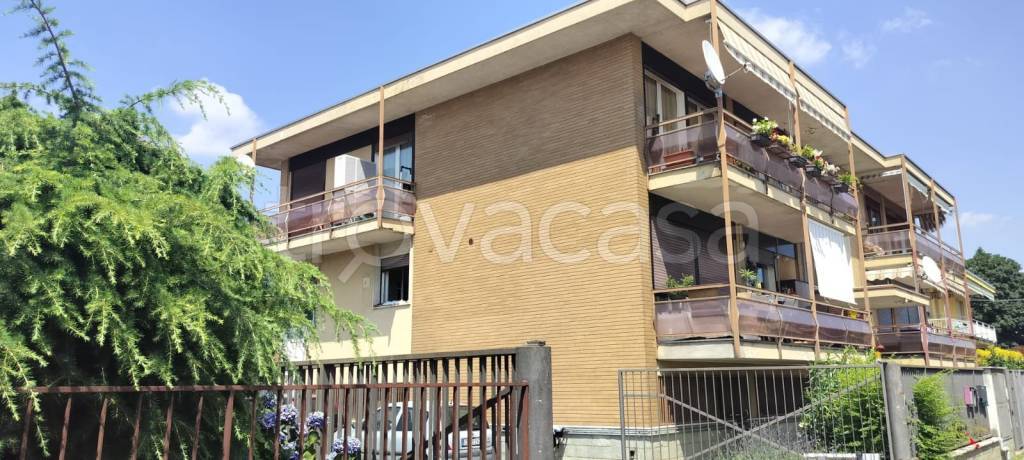 immagine annuncio 3 di 14