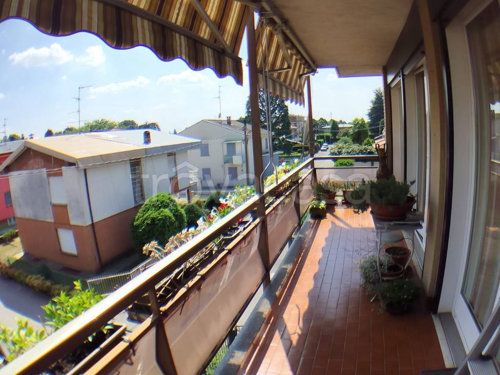 immagine annuncio 5 di 14