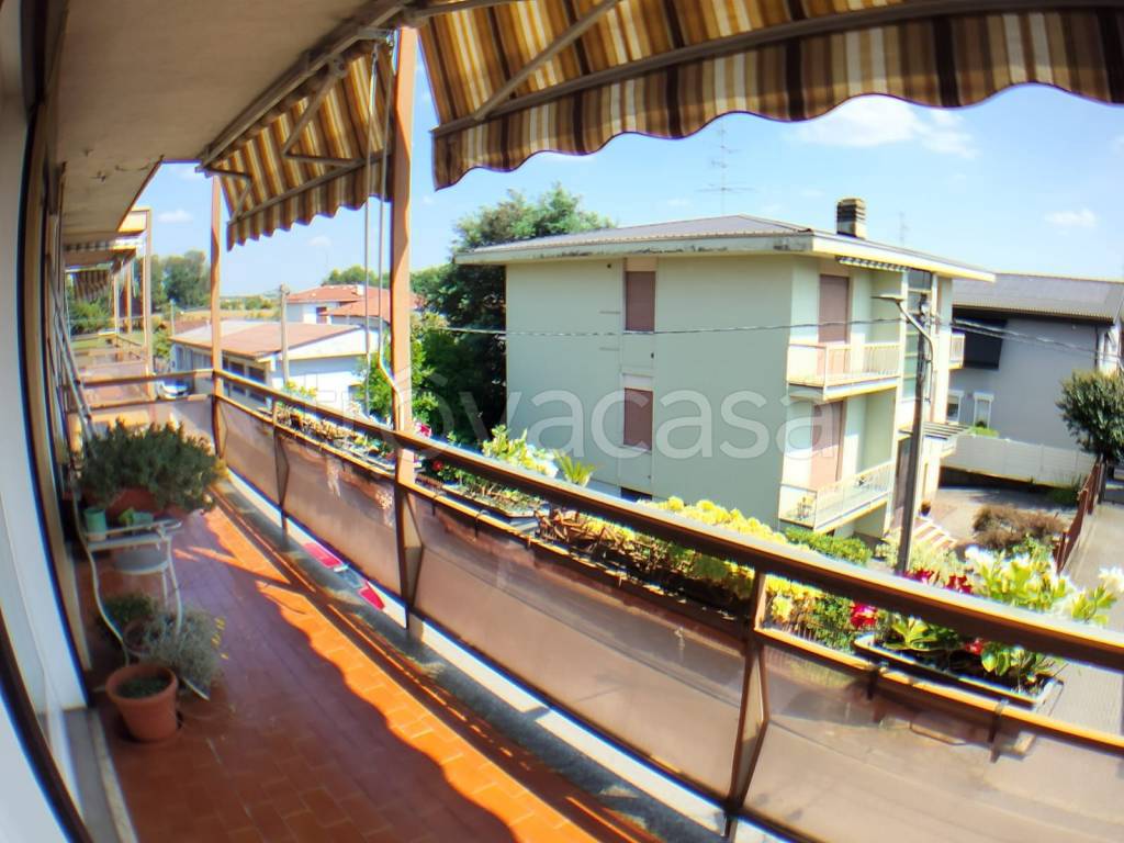 immagine annuncio 6 di 14