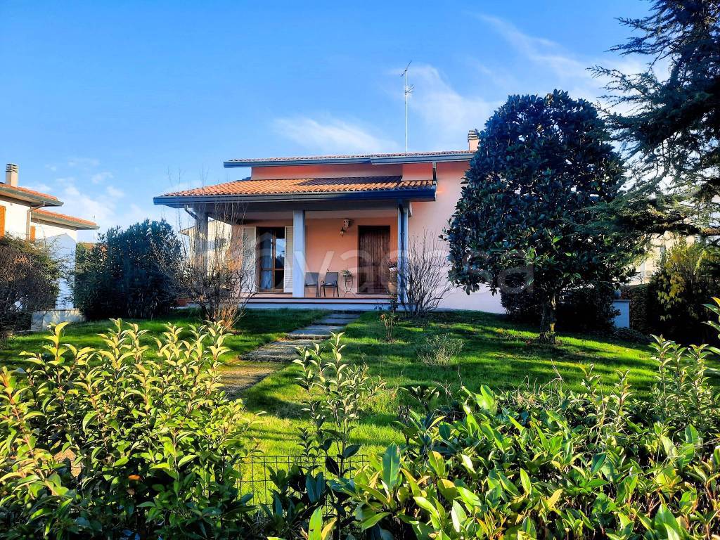 immagine annuncio 1 di 15