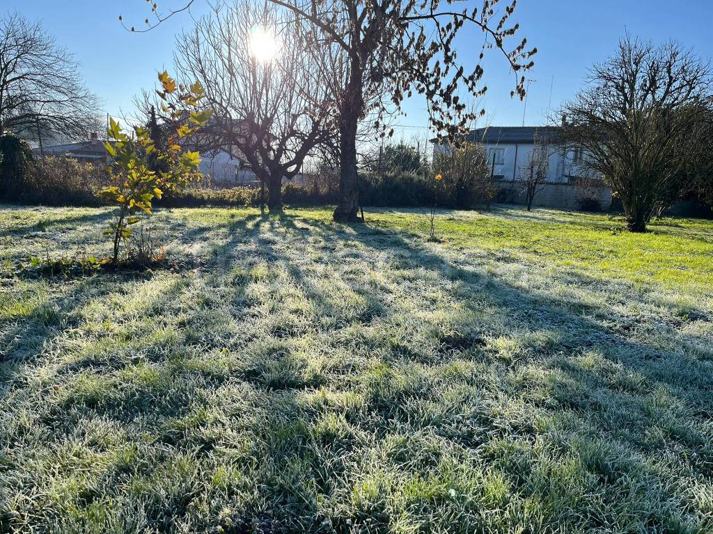 immagine annuncio 6 di 12