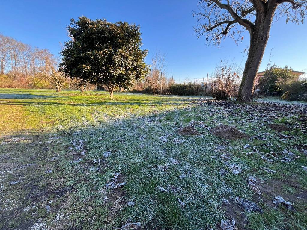 immagine annuncio 7 di 12