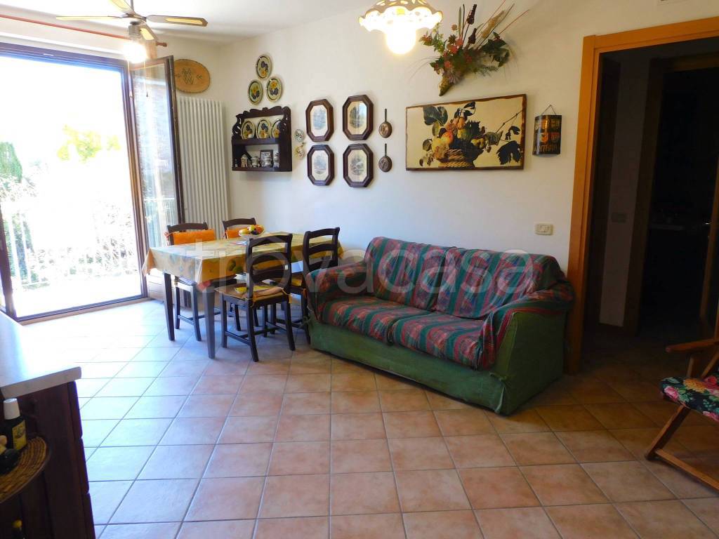 immagine annuncio 2 di 14