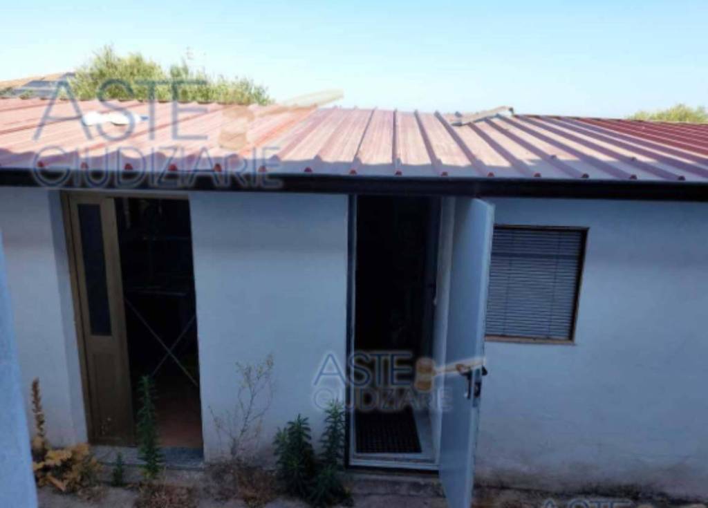 immagine annuncio 6 di 14