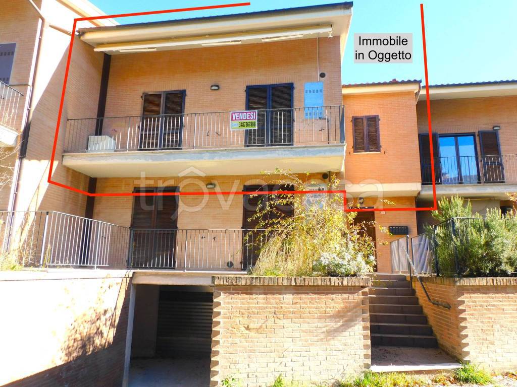 immagine annuncio 11 di 14