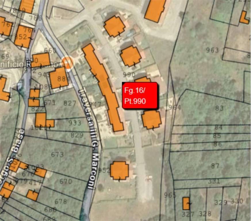 immagine annuncio 6 di 14