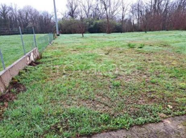 immagine annuncio 3 di 14