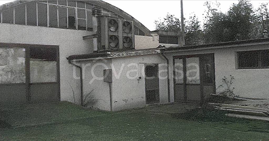 immagine annuncio 2 di 12