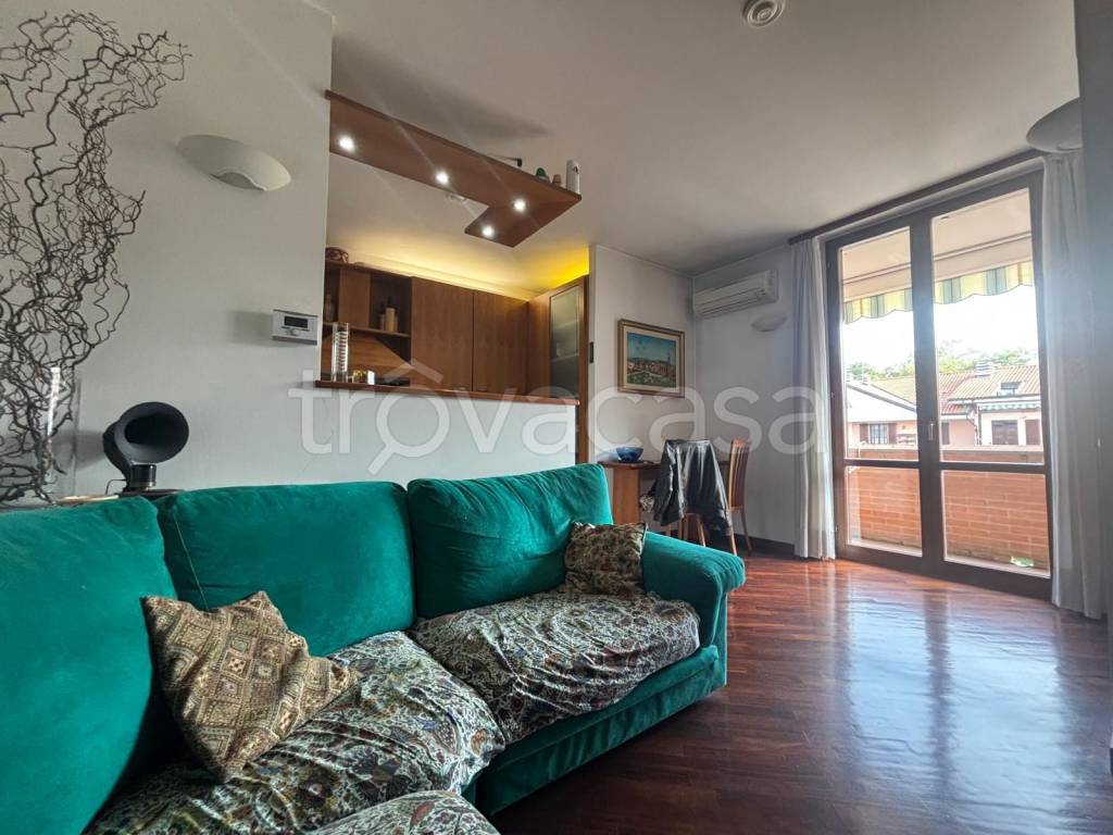 immagine annuncio 7 di 15