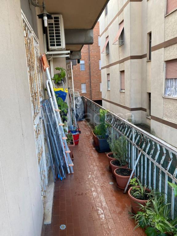 immagine annuncio 12 di 13