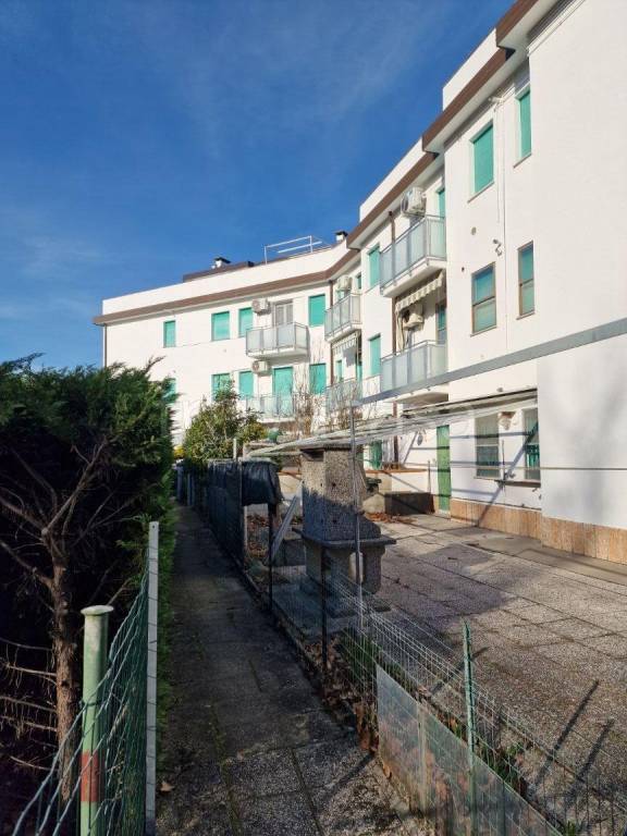 immagine annuncio 2 di 14