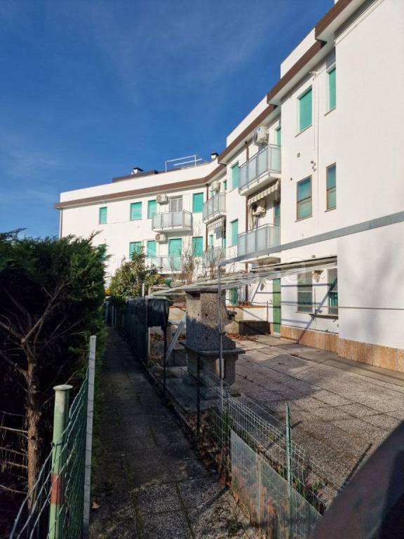 immagine annuncio 3 di 14