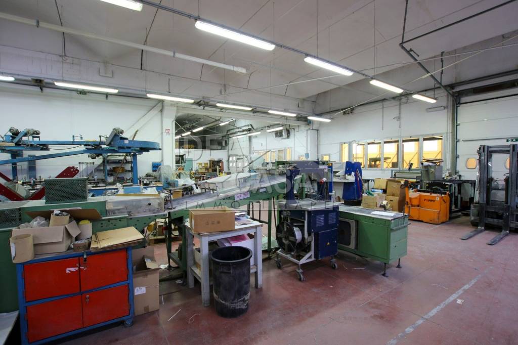 immagine annuncio 7 di 15