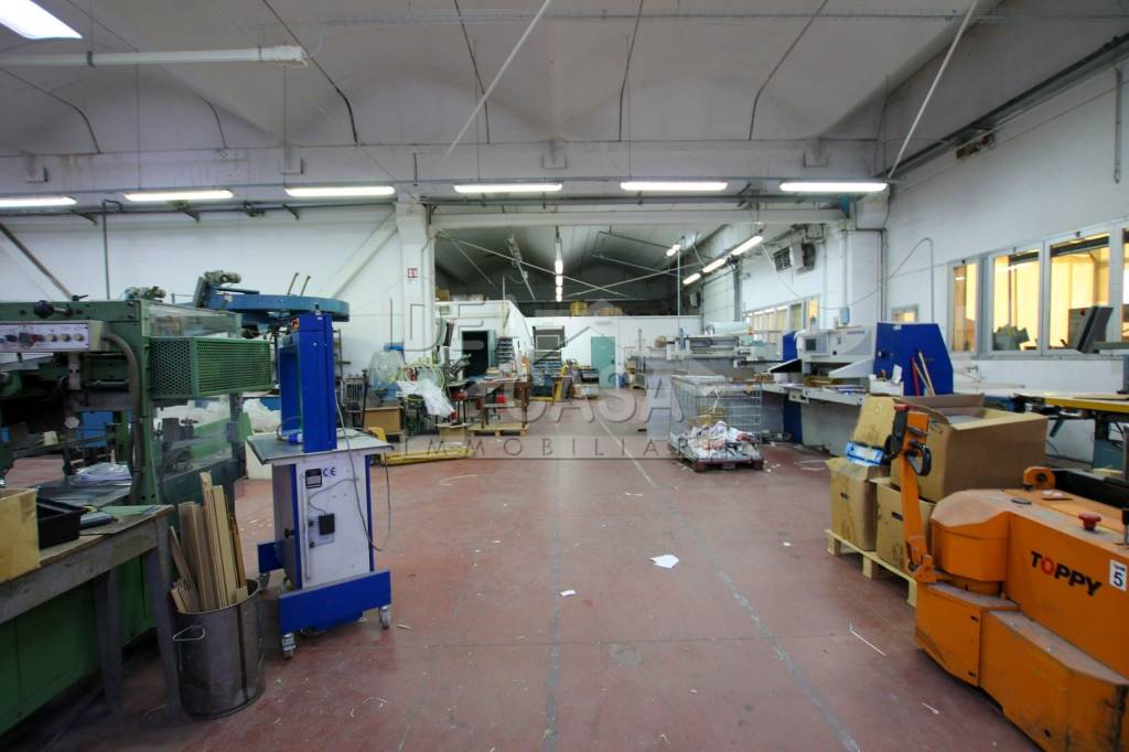 immagine annuncio 9 di 15