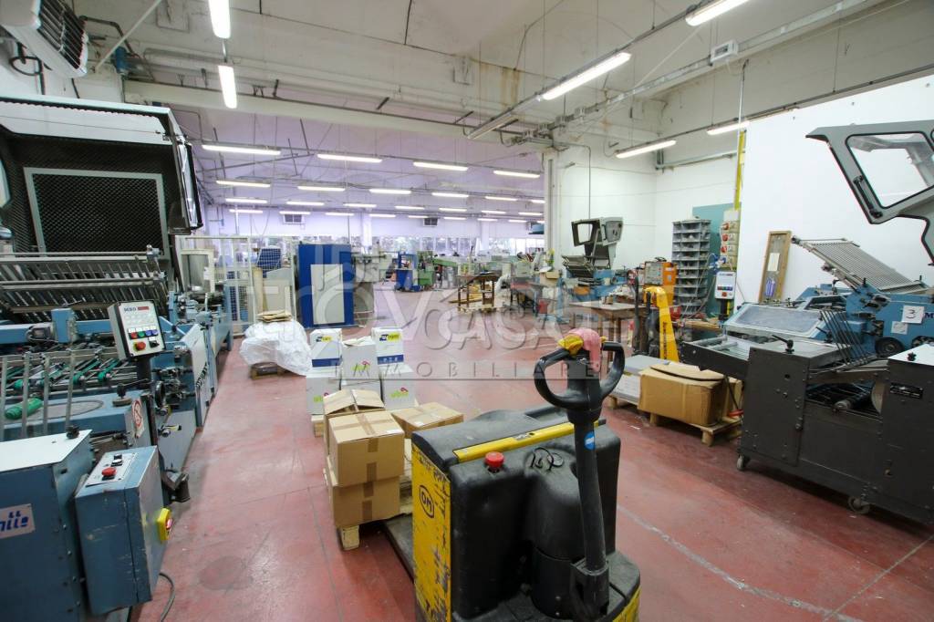 immagine annuncio 10 di 15