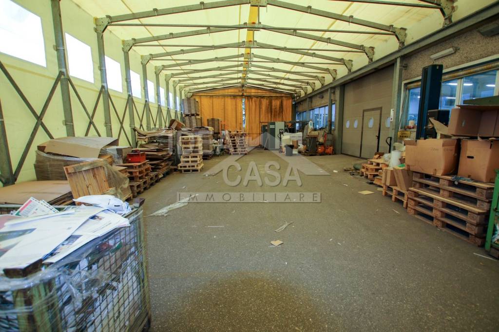 immagine annuncio 12 di 15