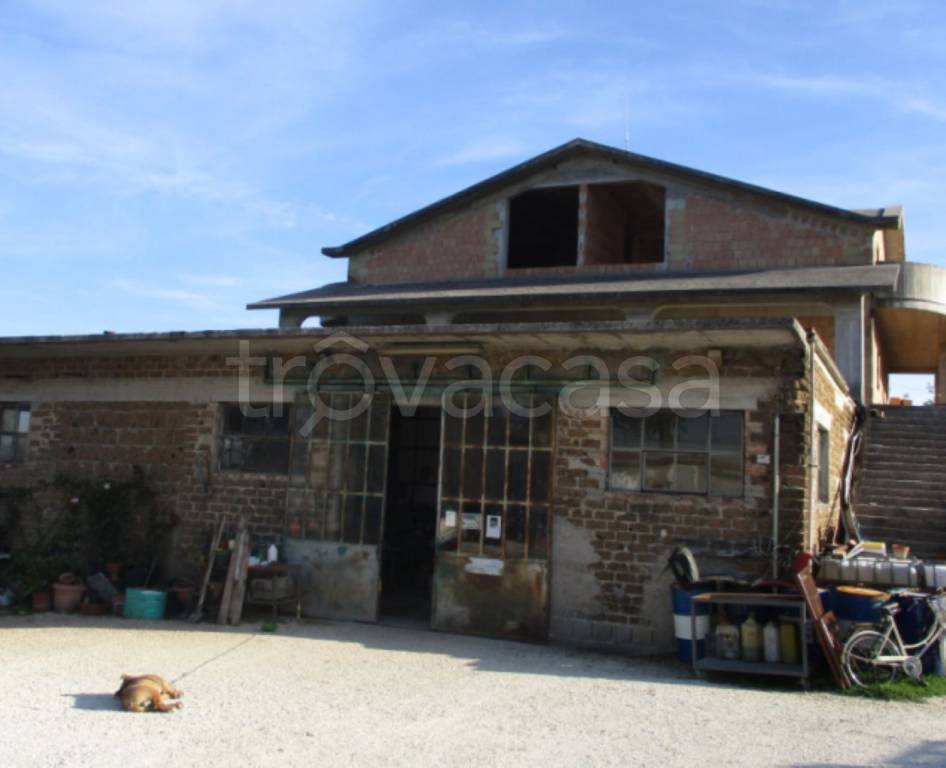 immagine annuncio 8 di 12