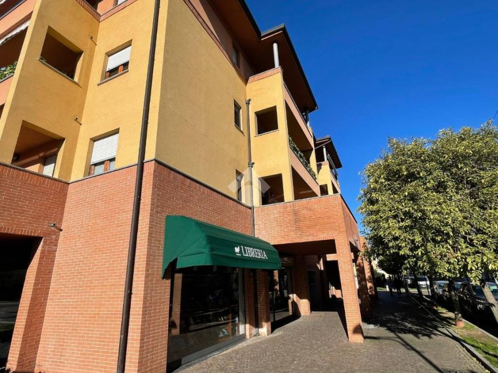 immagine annuncio 12 di 15