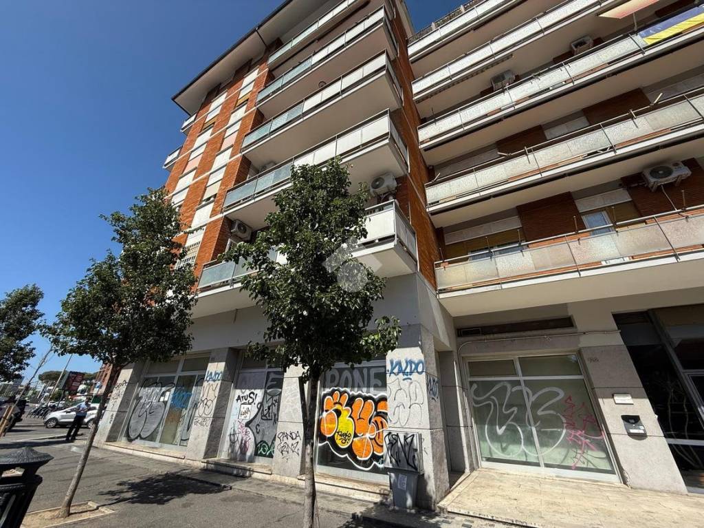 immagine annuncio 2 di 11