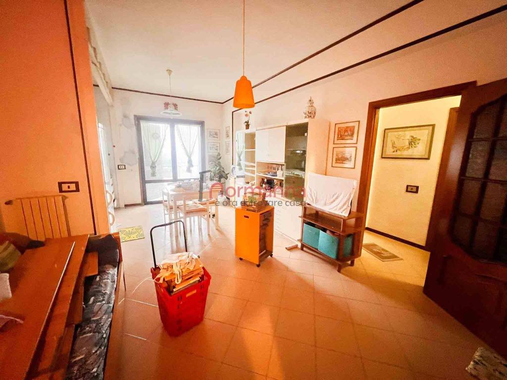 immagine annuncio 3 di 13