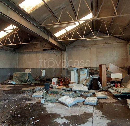 immagine annuncio 1 di 9