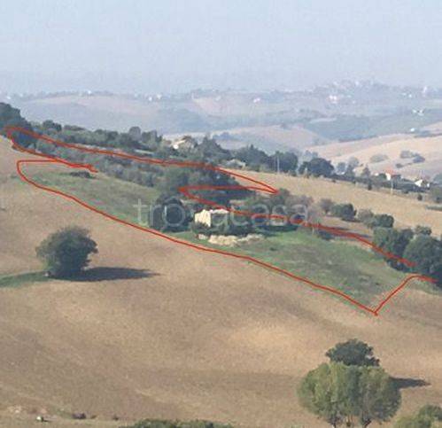 immagine annuncio 3 di 6