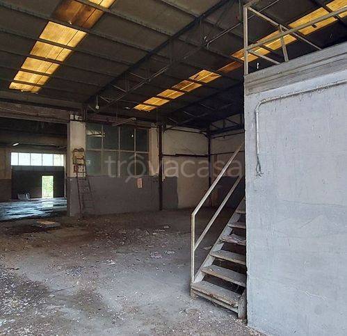 immagine annuncio 4 di 9