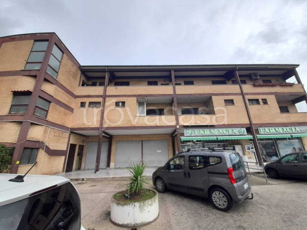 immagine annuncio 4 di 7