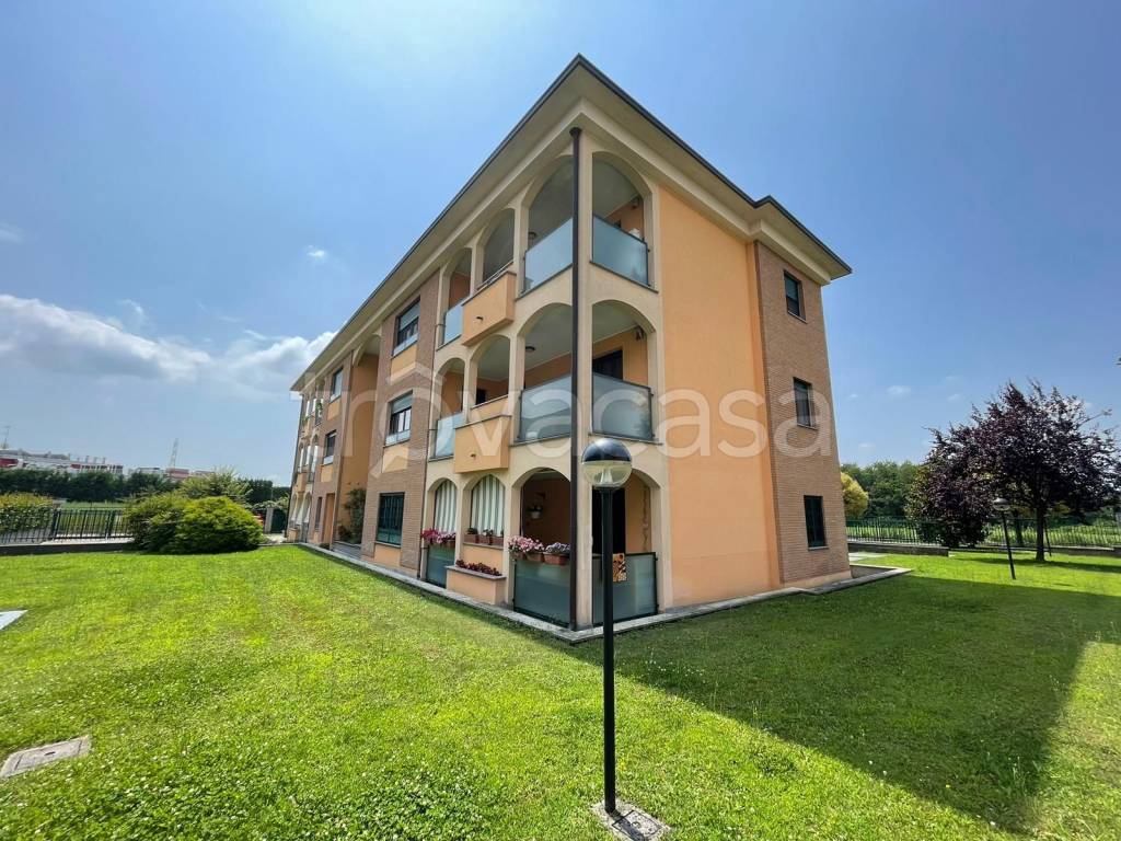 immagine annuncio 1 di 15